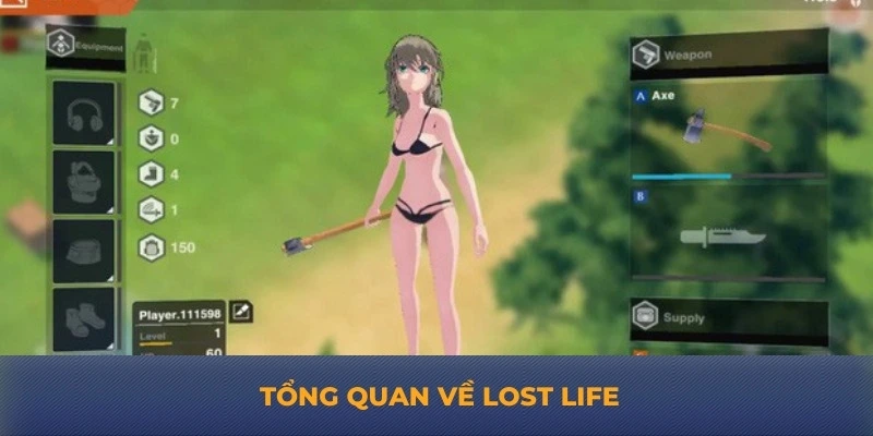 Tổng quan về Lost Life 